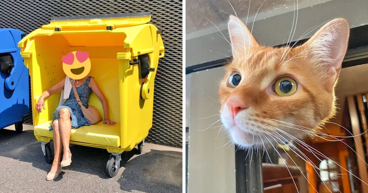 16 Times People Stumbled Upon Sights They Couldn’t Resist But Capture