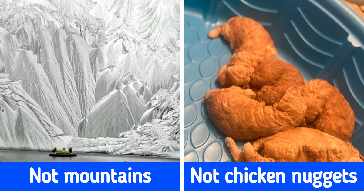 There Is Nothing Unusual in These 18 Photos. Unless You Start Looking Closely