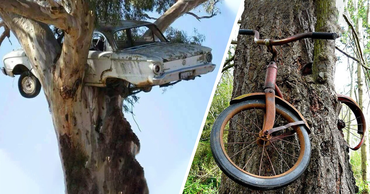 15 Times People Were Fortunate to See Deserted Things That Looked Otherworldly