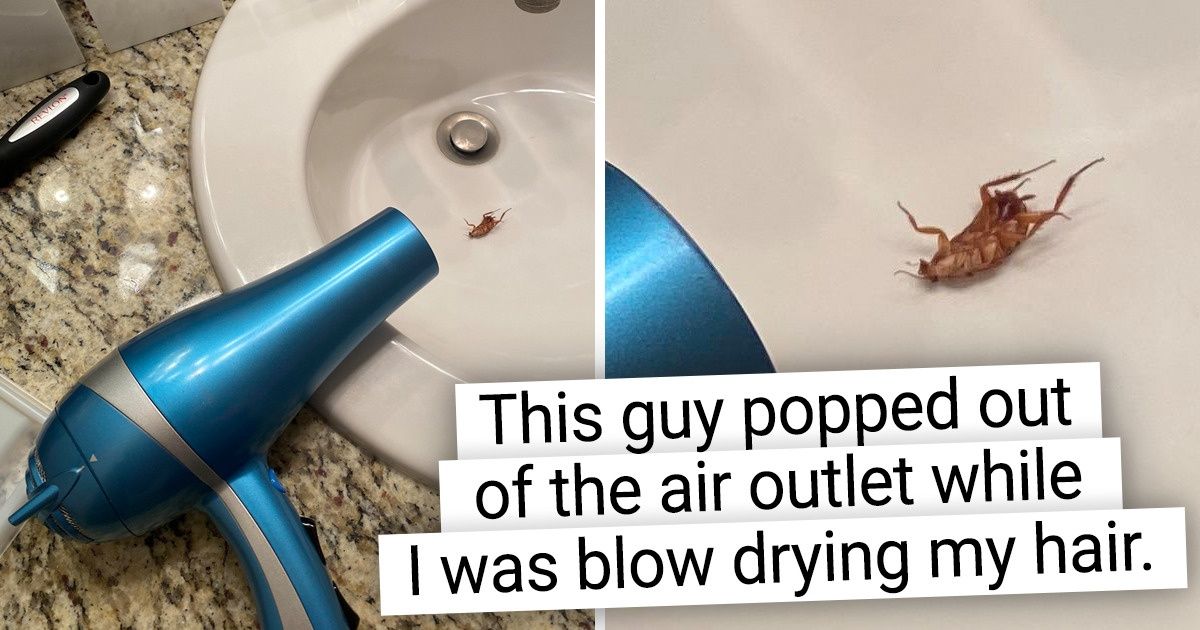 15 People Whose Day Went Sideways Quickly / Now I've Seen Everything