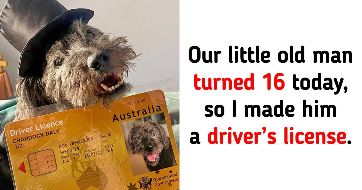 20 Sweet Pics That Can Turn Your Heart Into Mush