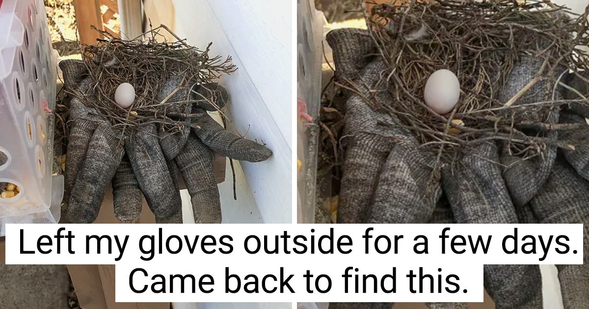 17 Discoveries That Took People by Surprise