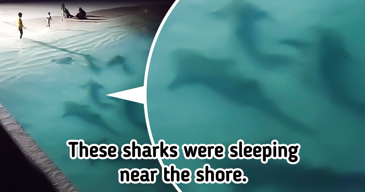 18 Extraordinary Finds That Left People Stunned