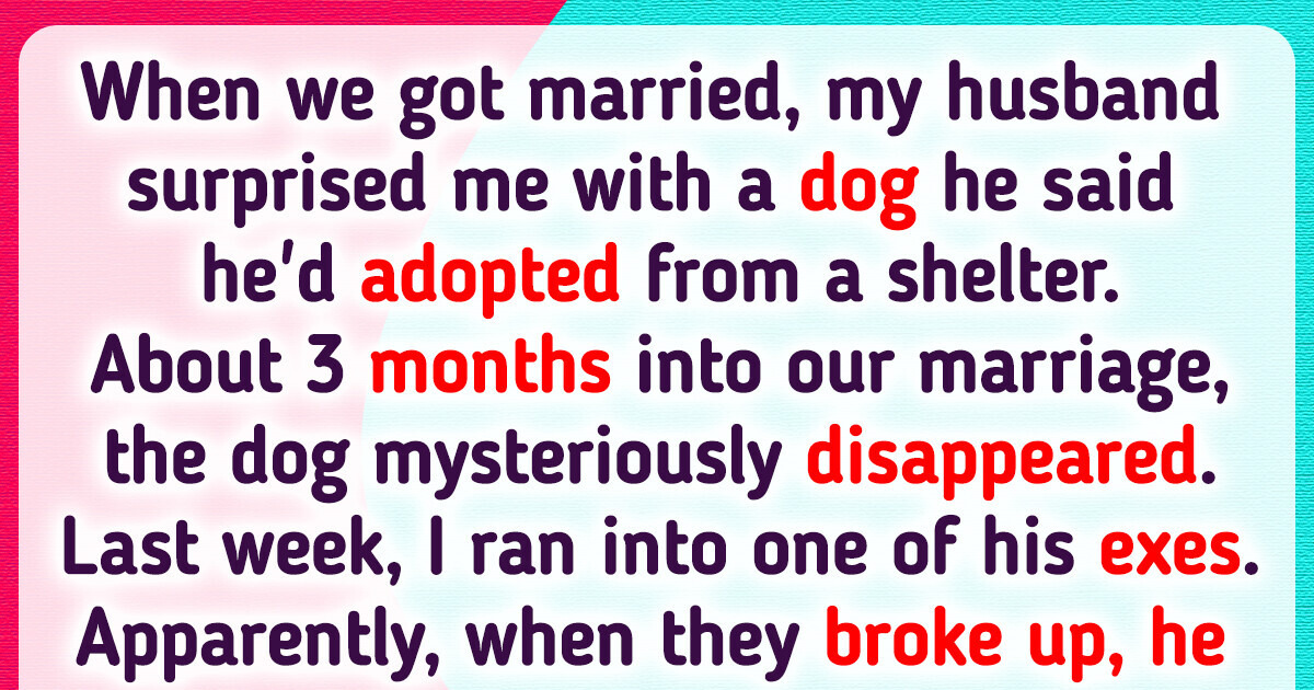My Husband’s Long-Buried Lie Shatters Our Family’s Happiest Memory My Husband’s Long-Buried Lie Shatters Our Family’s Happiest Memory