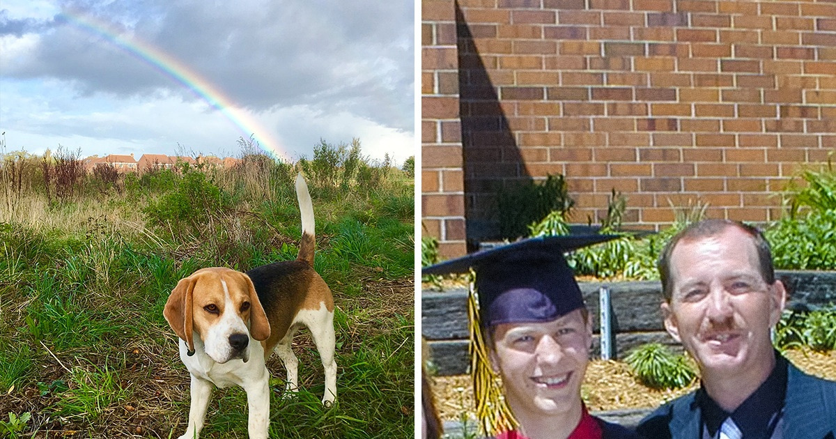 20+ Photos That Became Accidental Masterpieces