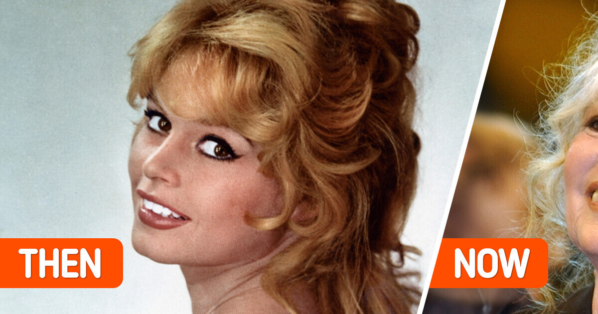 Iconic Brigitte Bardot, 89, Shares Her Candid Stand on Why She Refuses to Get Plastic Surgery Iconic Brigitte Bardot, 89, Shares Her Candid Stand on Why She Refuses to Get Plastic Surgery