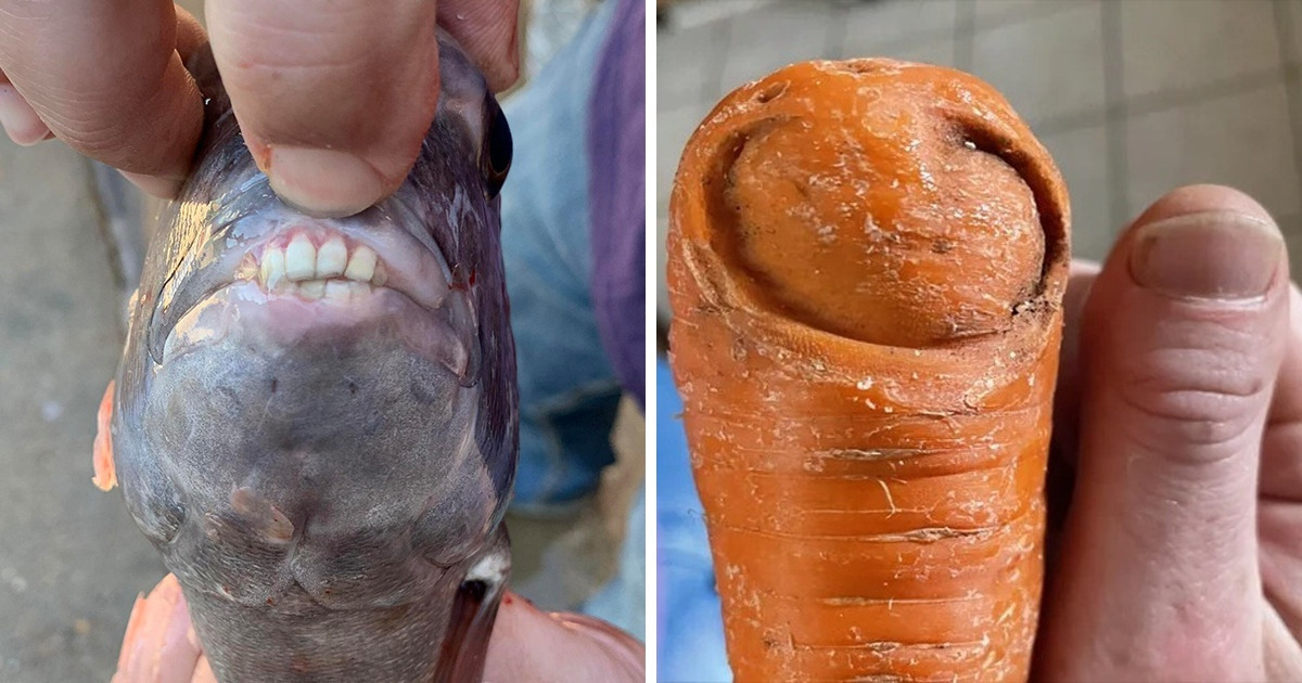 15+ Photos That Show How Creative Nature Truly Is