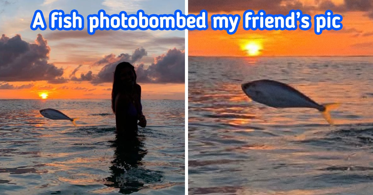 15 Flukes of Fate That Show That the Universe Has Flawless Comic Timing