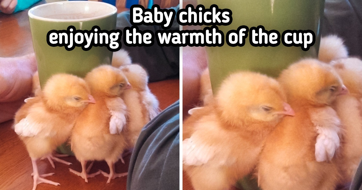 15+ Pics That Define Love No Matter What Language You Speak