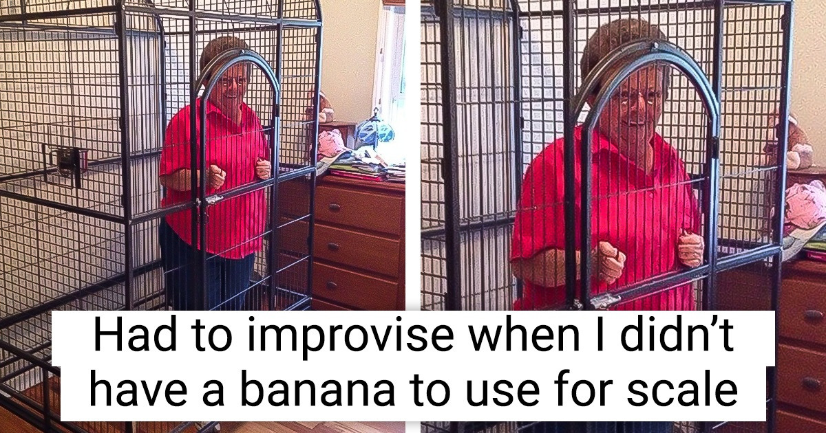17 People Who Don’t Back Down Until They Find a Solution to Their Problem