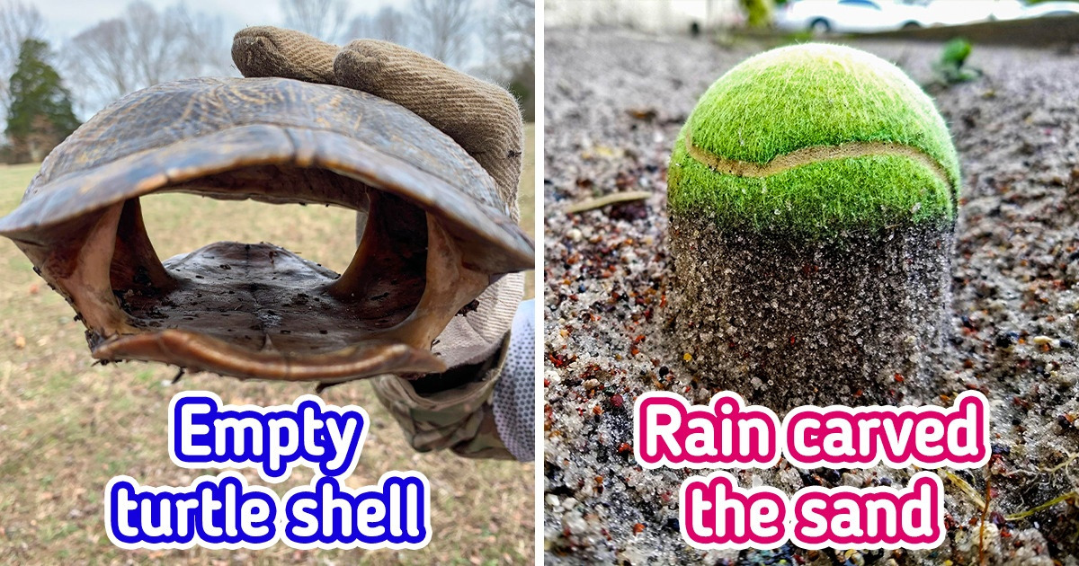 15 Times Nature Turned People’s Ordinary Day into an Unforgettable Memory