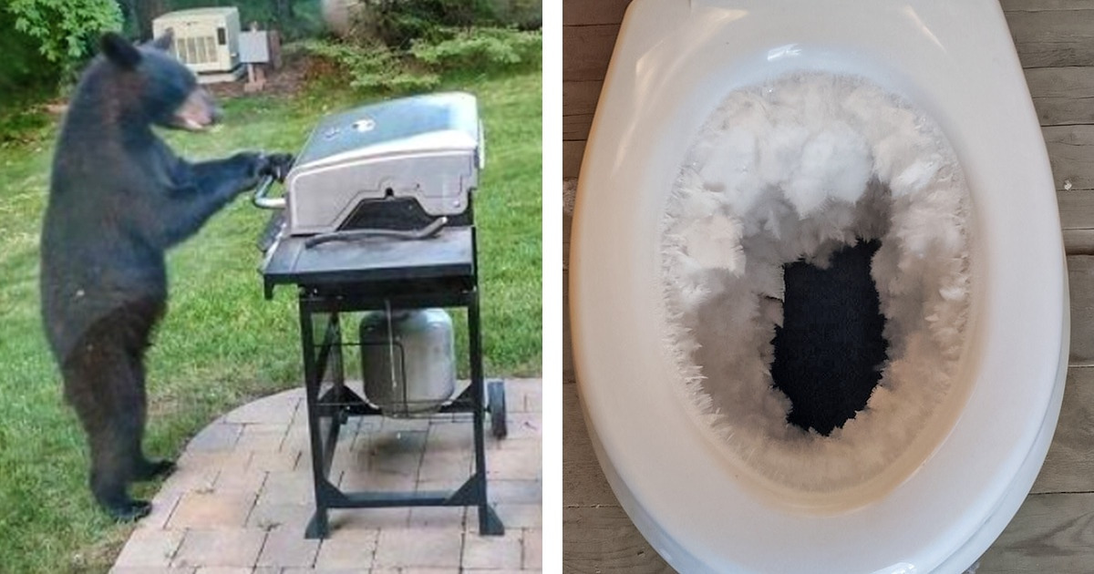 18 Pictures That Made Us Ask Questions