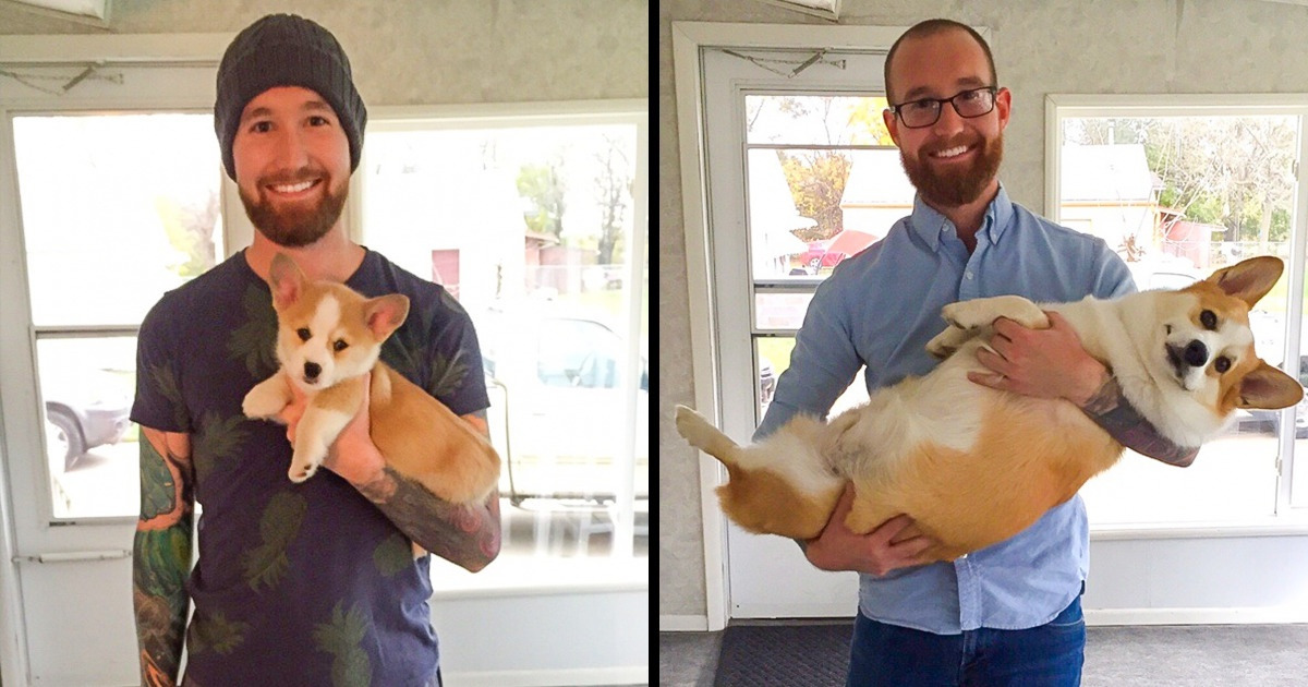 15 Pets Who Grew Out of Their Baby Phase Way Too Fast