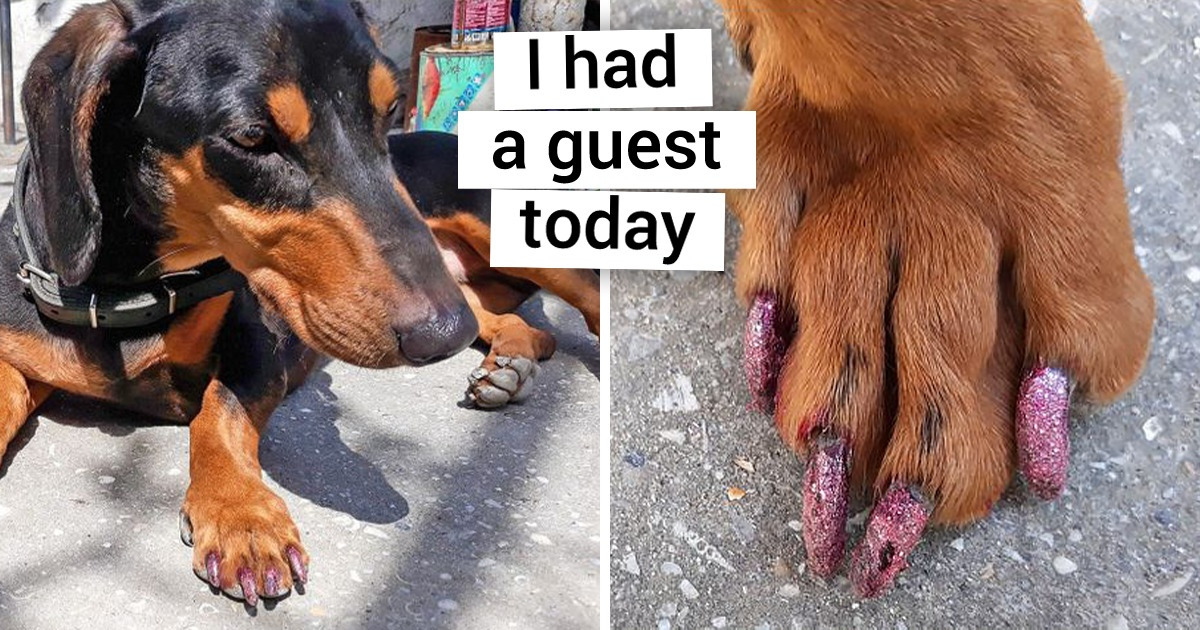 16 Guests Who Probably Will Never Be Invited Back