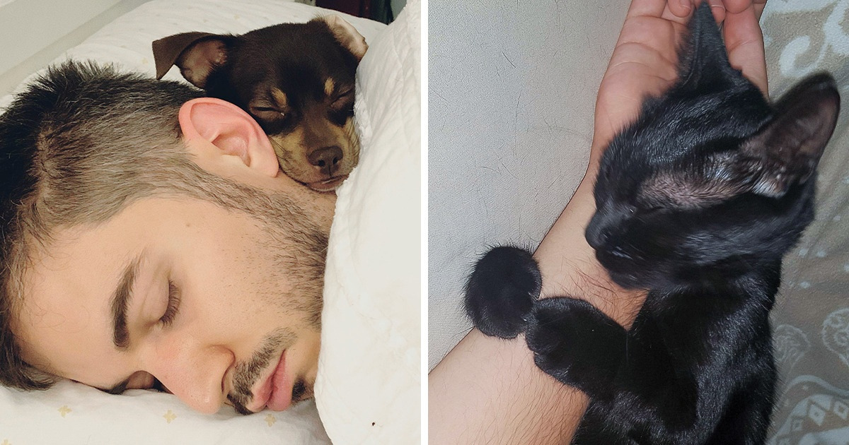 20+ Pics That Prove We Are the Light That Brightens Our Pet’s World