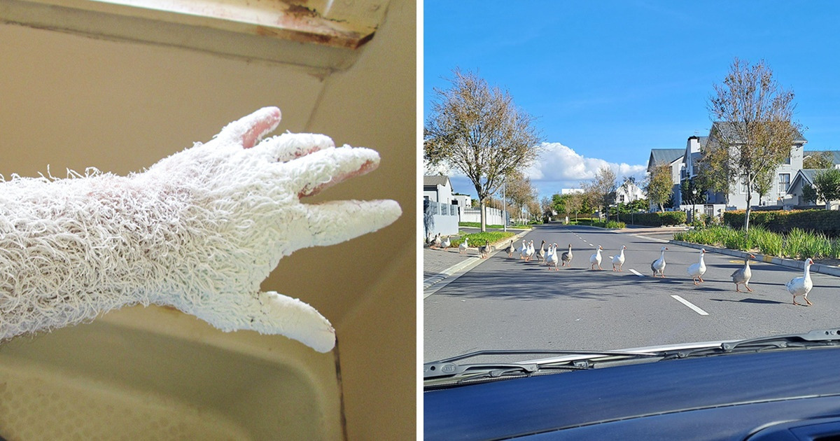 15+ Things That Caught Us Off-guard