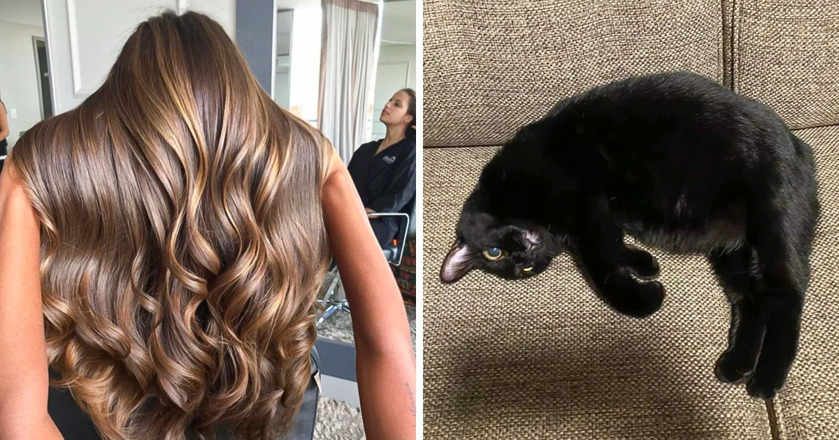 16 Photos That Are Desperate for a Behind-the-Scenes Explanation