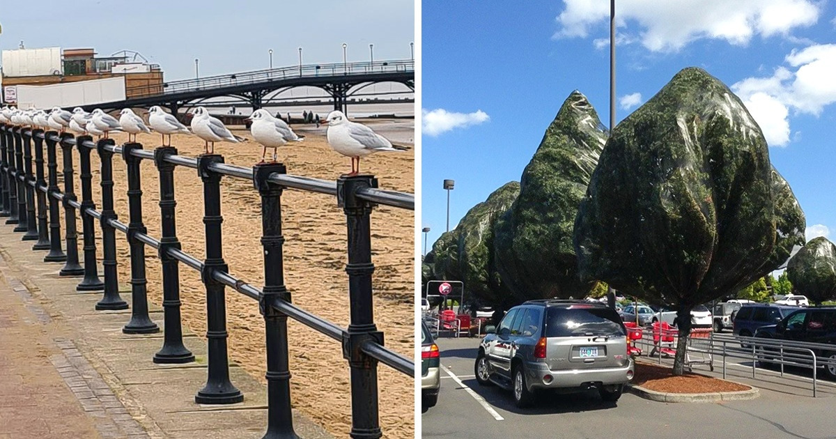 15+ Confusing Pics That Made Us Think Our Eyes Glitch