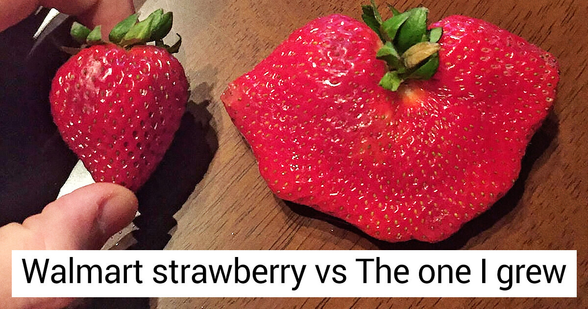 15 People Who Blew Our Minds With Impressive Comparisons