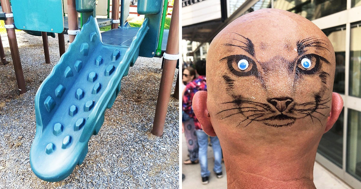 15+ Unexpected Things That Made Us Do a Double Take