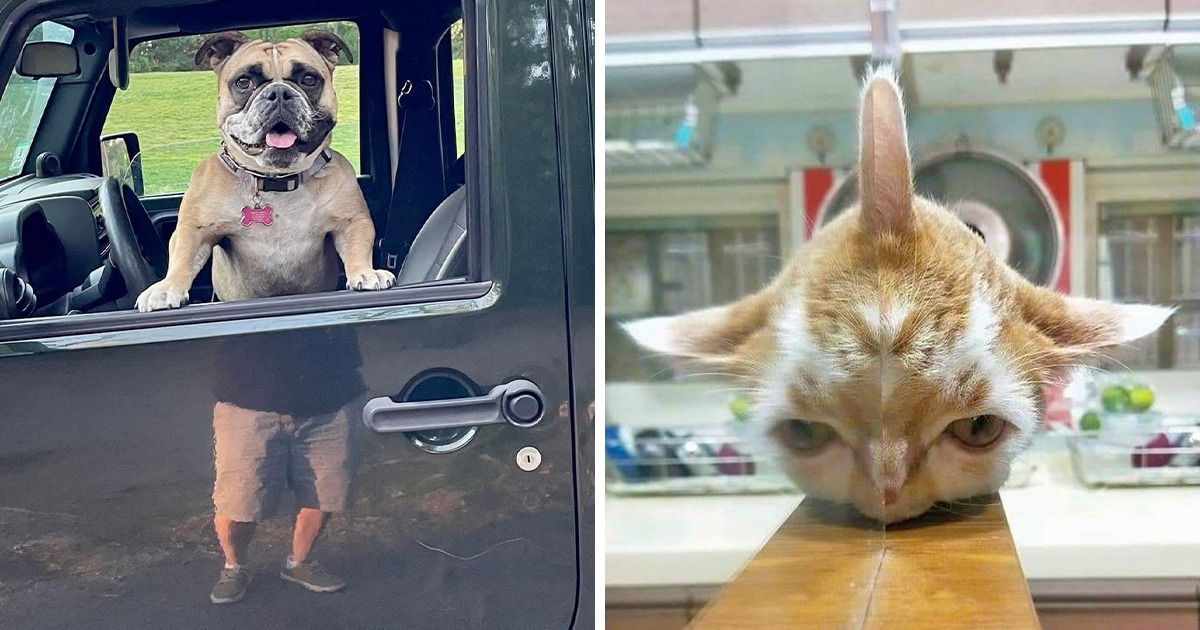 15 Intriguing Pics That Spark Countless Questions in Our Mind
