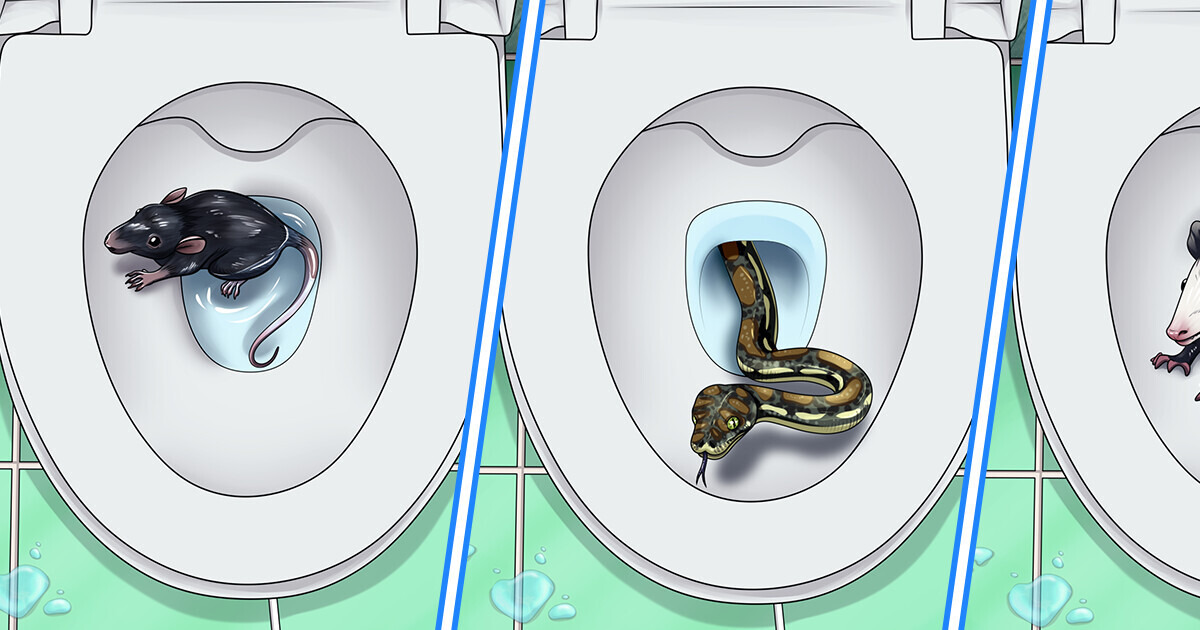 7 Creatures That Can Crawl Through Your Toilet and How to Prevent Them