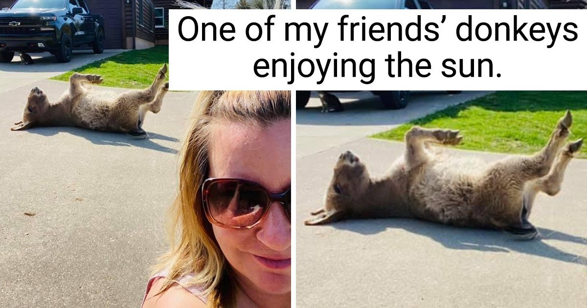 20 Pics That Give Us an Instant Boost of Happiness