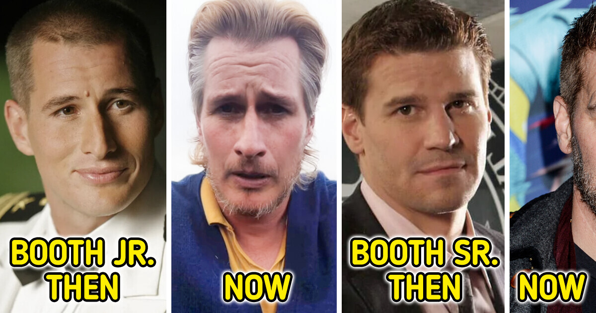 Bones TV Series Cast: How We Remember Them From the Show and What Are They Doing Now