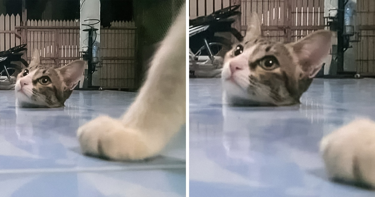 15 Times Our Eyes Played Annoying Tricks on Us
