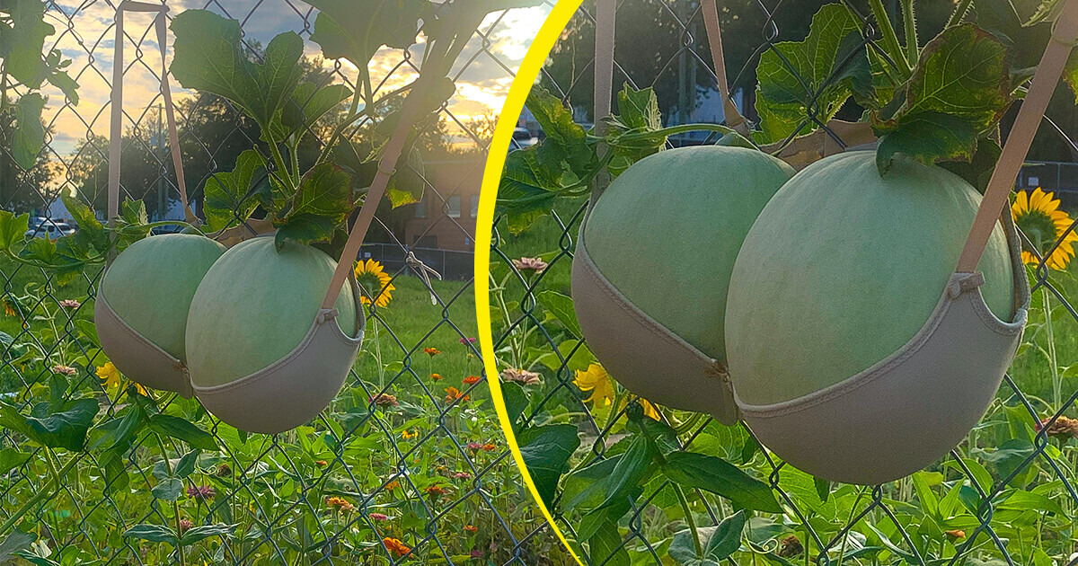 16 Creative Minds Who Can Solve Any Problem 16 Creative Minds Who Can Solve Any Problem