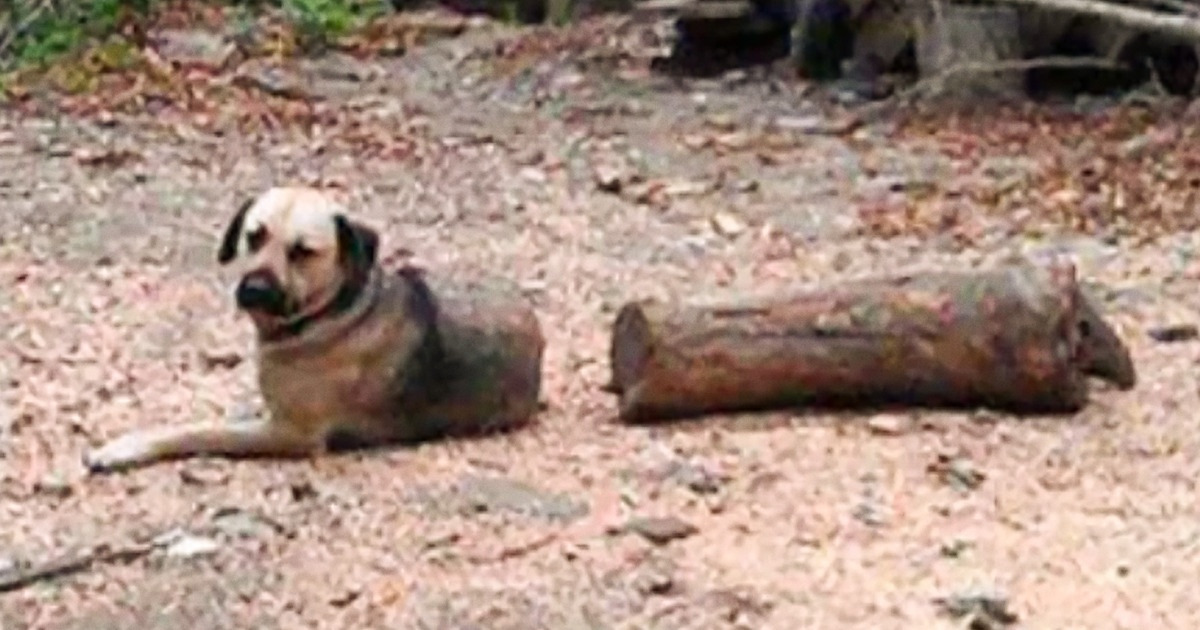16 Photos That Show How Perspective Can Create a New Reality