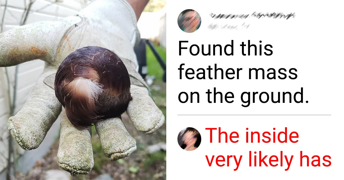 15 Objects That Create a Veil of Mystery That Needs Some Clearing Up