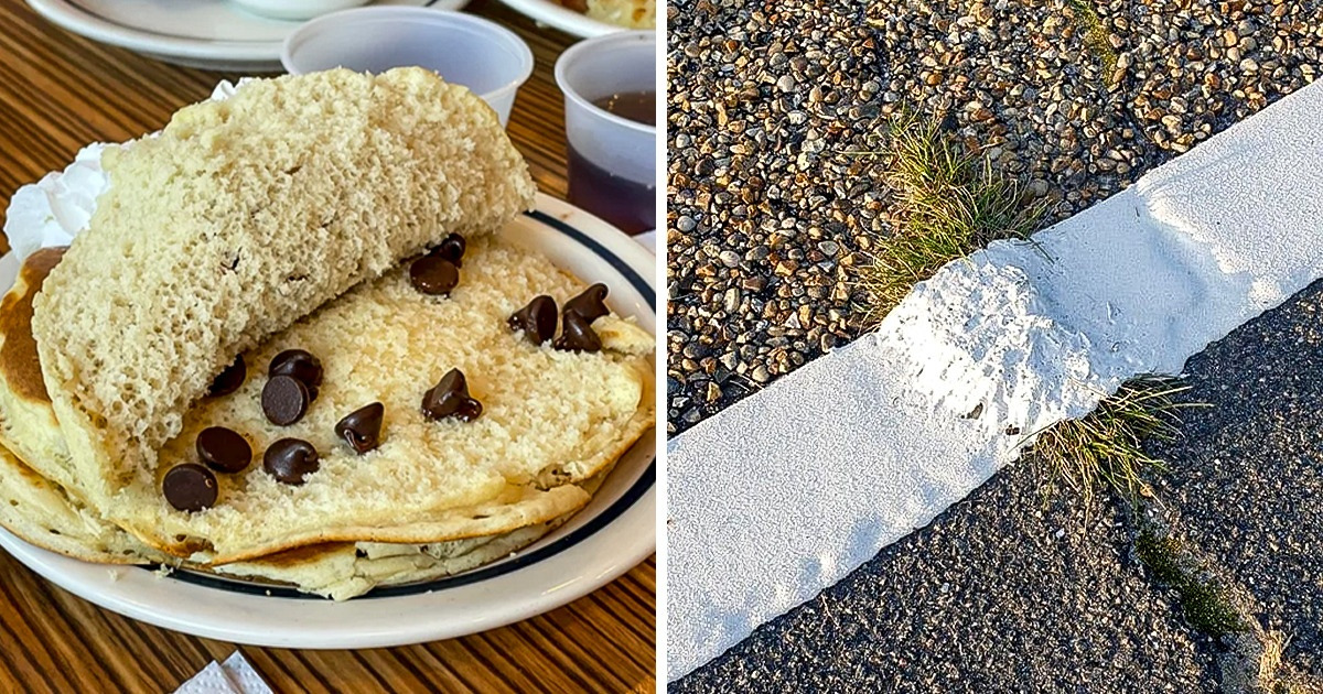 18 People Who Forgot What It Means to Do Your Job Right