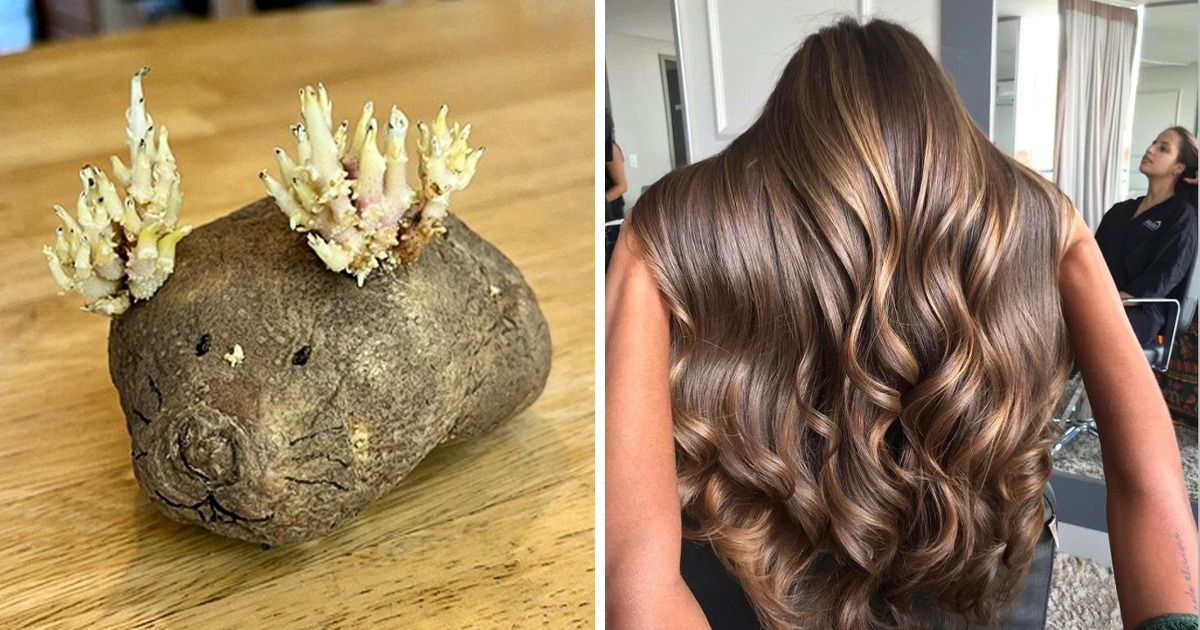 15 Times Ordinary Things Decided to Change Appearances and Transform Into Something Else