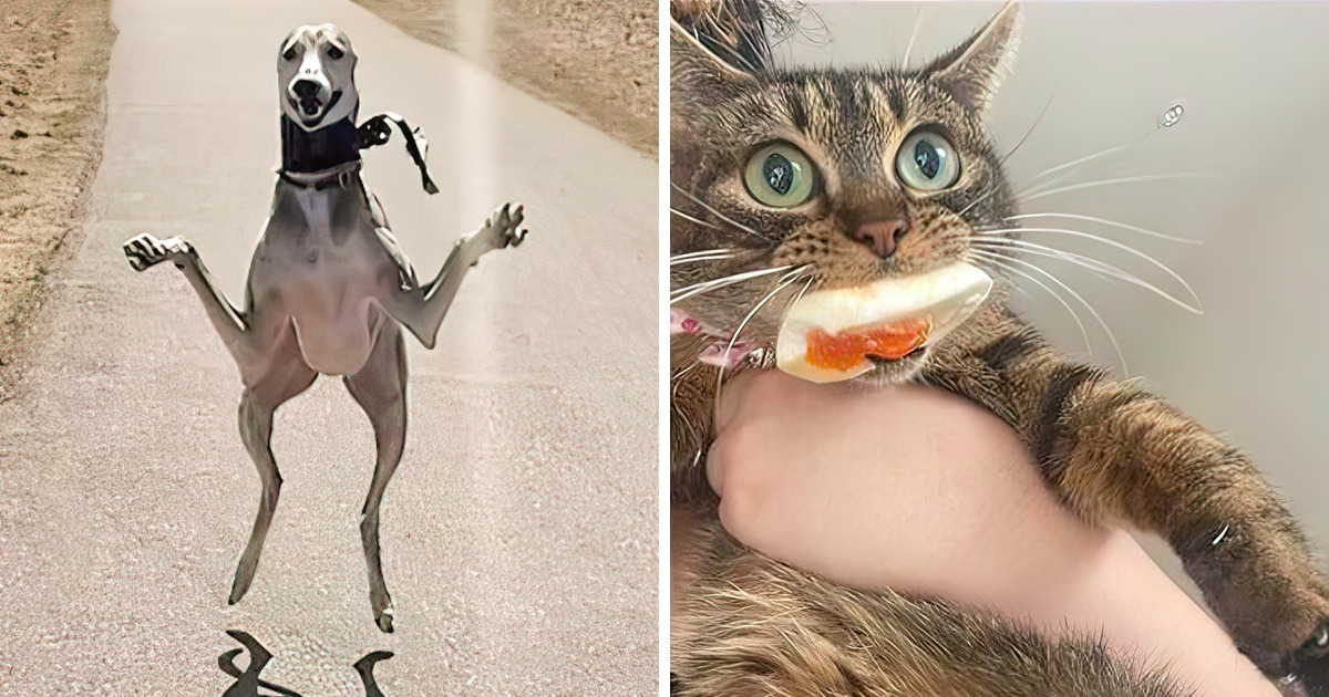 18 Animals Who Prove That There Is No Such Thing As Being Normal