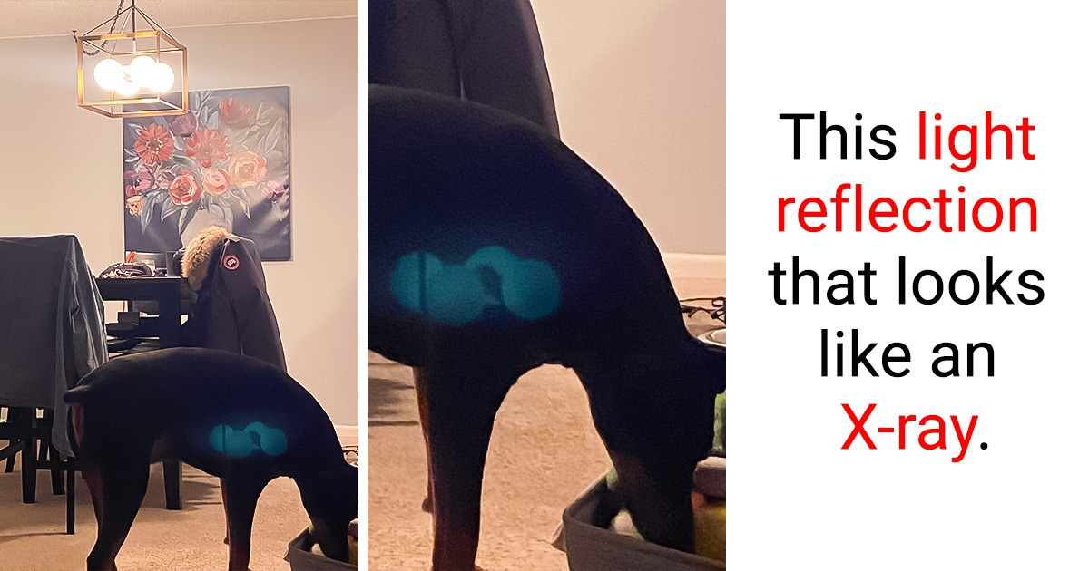 15+ Strange Pics That Will Only Make Sense If You Stare at Them Long Enough