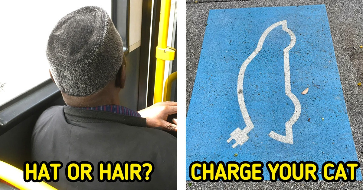 18 Pictures That Prove Life Can Be the Chameleon of Trickery
