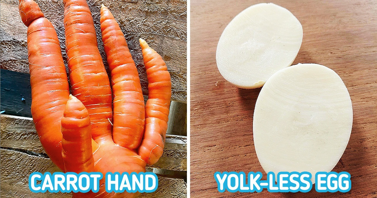 20 Discoveries That Seem to Belong on a Neighboring Planet