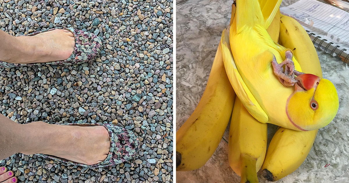 24 Pics That Will Make You Want to Scratch Your Brain For Answers