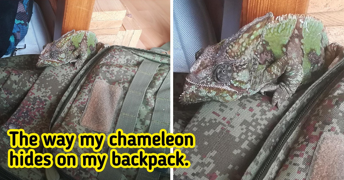 15 Times the Universe Gifted People With Unexpected Treasures