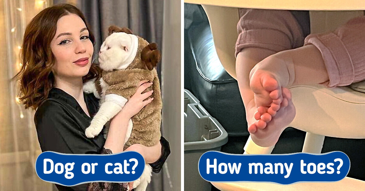 15+ Photos in Which You Will See What Is Not Really There