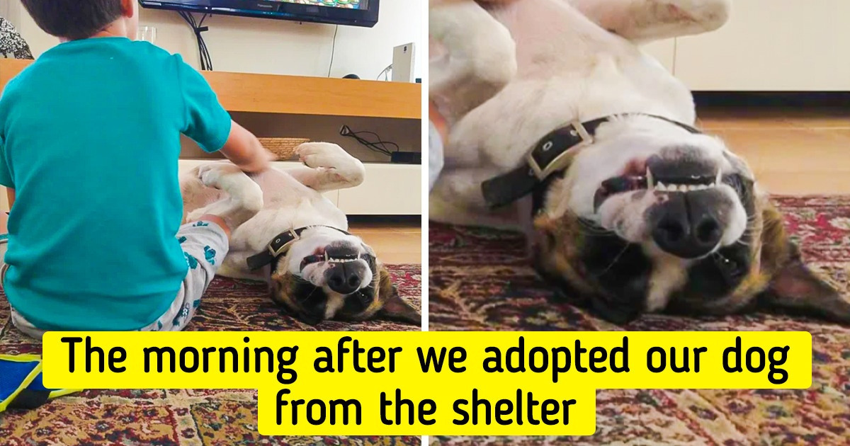 15 Love-Infested Pictures That Will Make You Optimistic About Our Planet’s Future