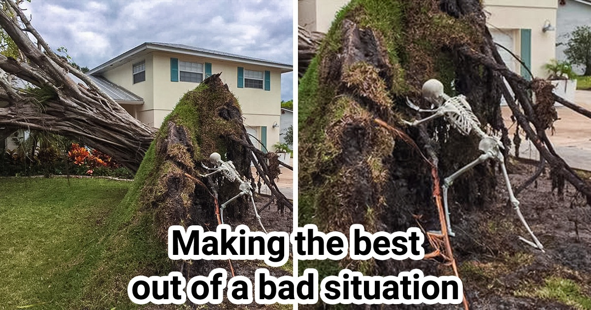 14 Witty People Who Are Prepared for Whatever Life Has in Store for Them