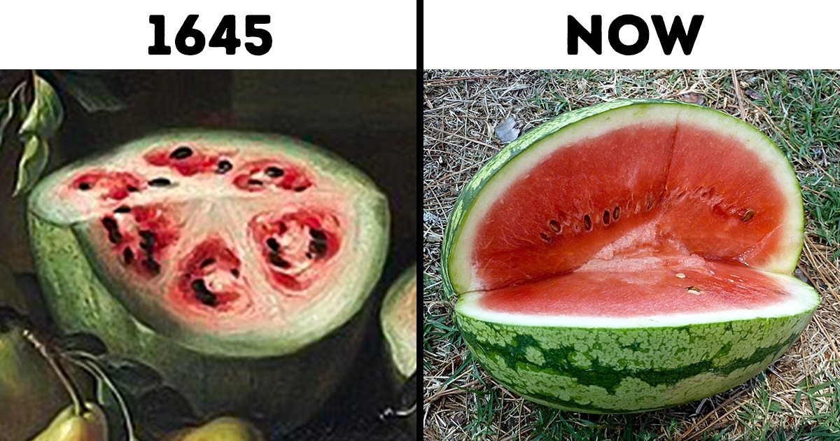 10+ Common Things That Became Unrecognizable With Time 10+ Common Things That Became Unrecognizable With Time