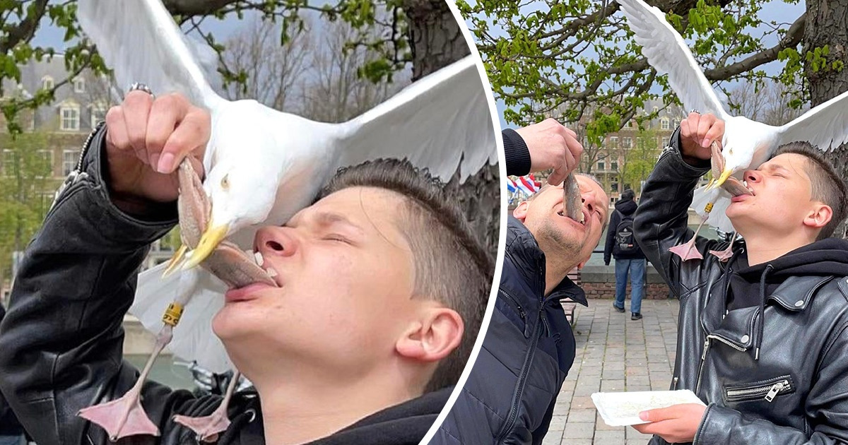 15+ Animals Who Couldn’t Care Less About Following the Rules