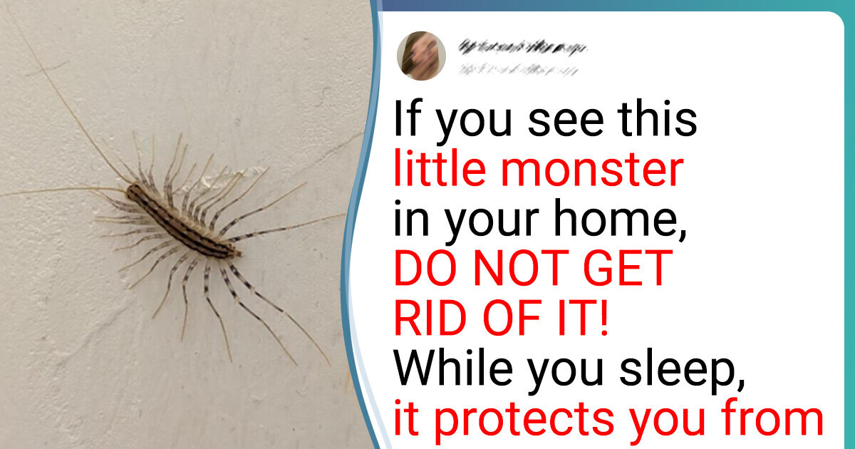 8 Animals That Work Every Day to Save the Planet — And You Too! 8 Animals That Work Every Day to Save the Planet — And You Too!