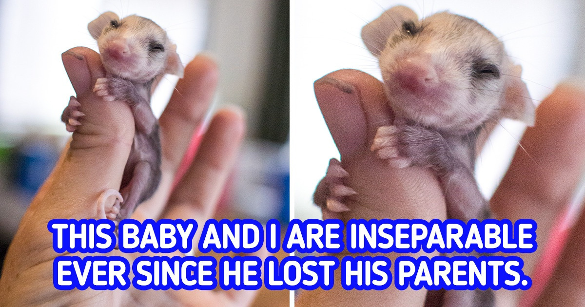 20+ Pics That Will Occupy a Soft Spot in Your Heart and Stay There Forever