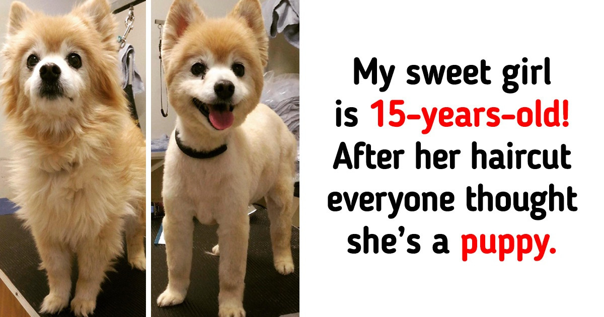 20 Pics That Can Soften the Heart of the Cruelest Monsters