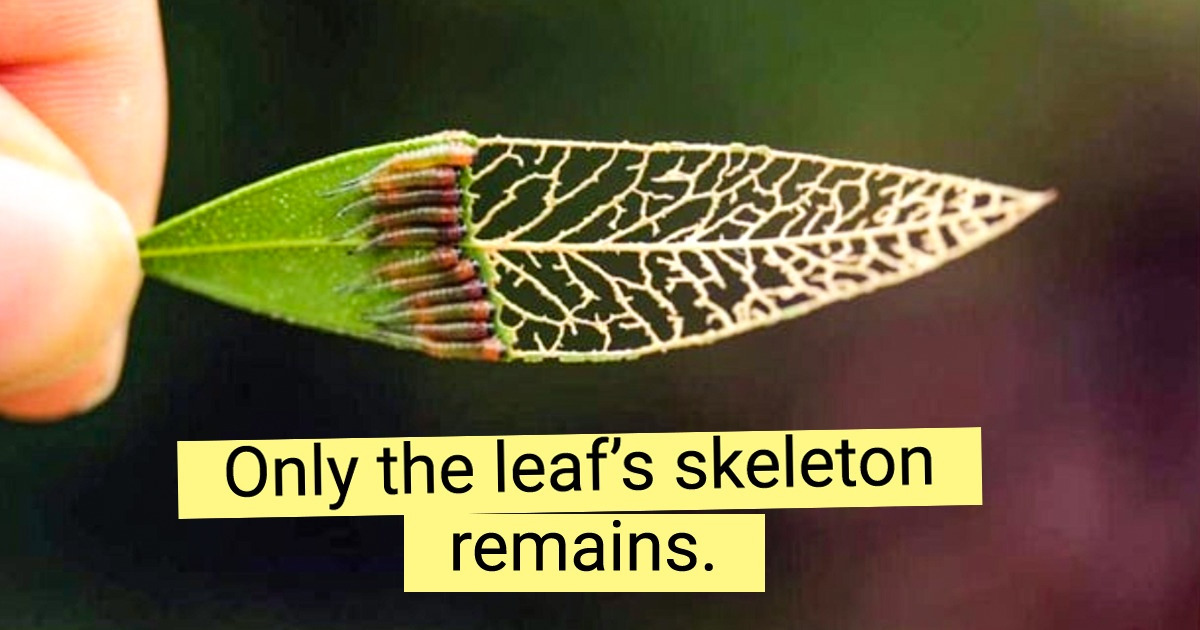 20 Images So Perfect They’re a Delight to the Human Eye