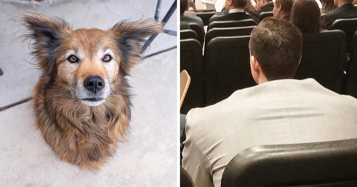15 Misleading Pics That Will Make You Say “You Got Me!”